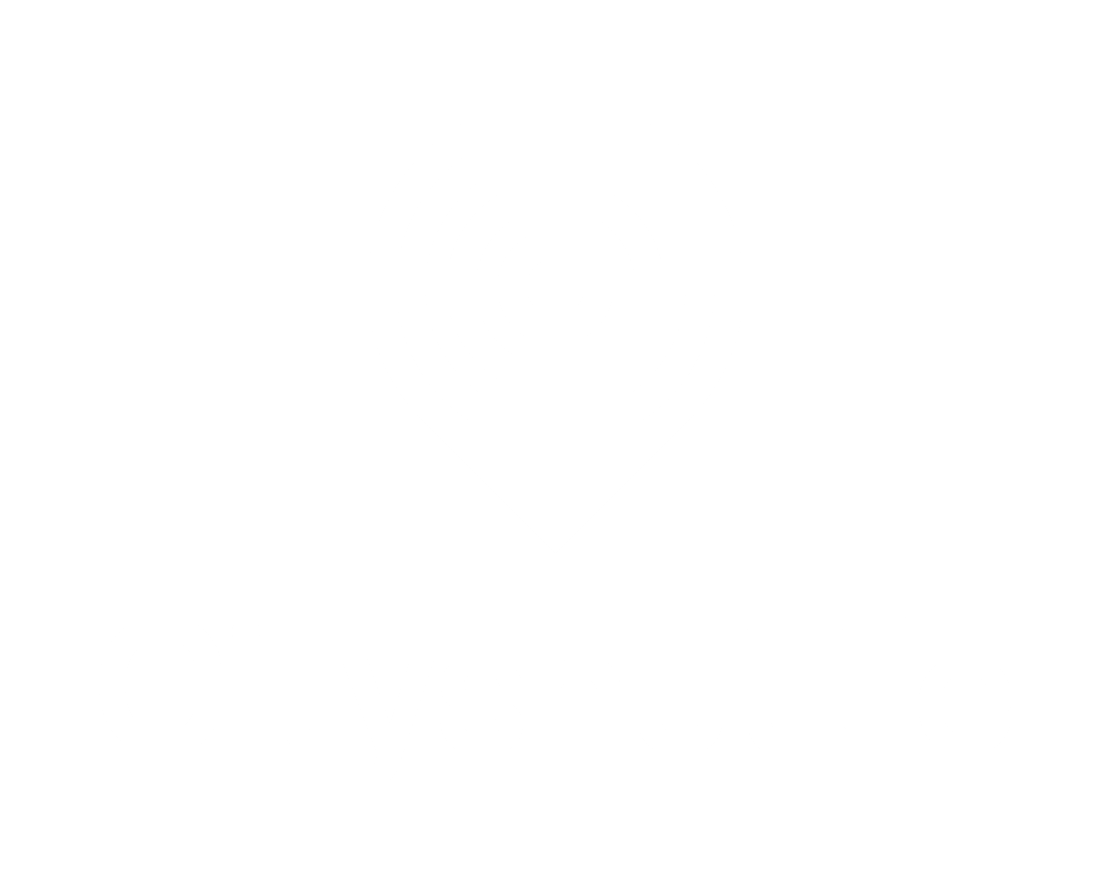 Cityshuttle 